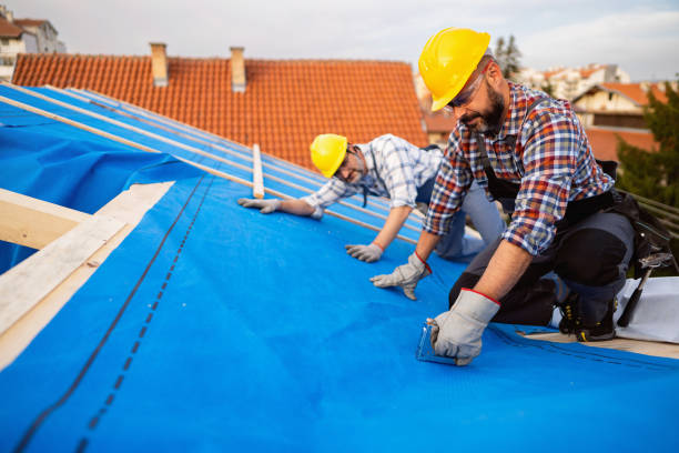 Best Roof Maintenance Services  in Morgan City, LA