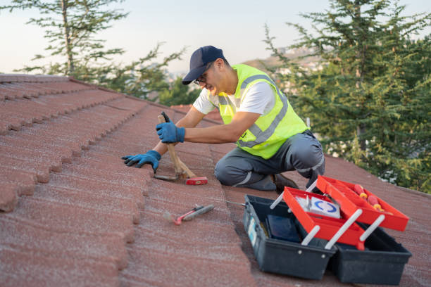 Best New Roof Installation  in Morgan City, LA