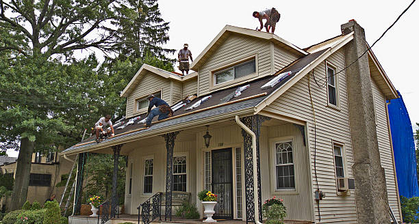 Best New Roof Installation  in Morgan City, LA