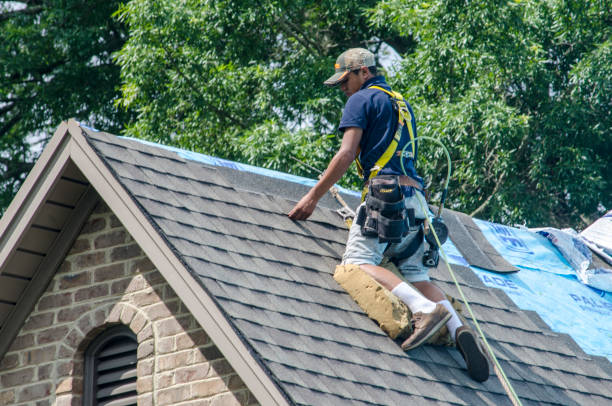 Best Roof Leak Repair  in Morgan City, LA